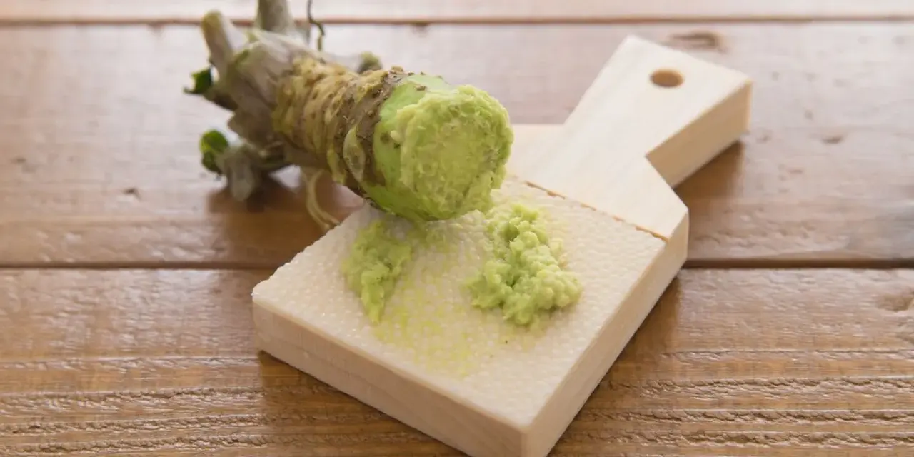 Świeży korzeń wasabi jest tarty na drewnianej tarce. Czy wasabi jest zdrowe? Tak, ma właściwości antybakteryjne i przeciwzapalne.