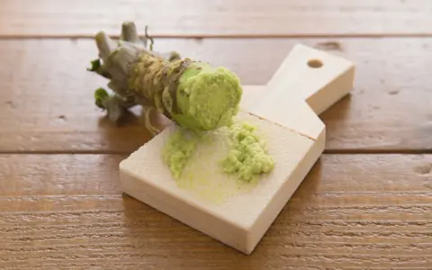 Świeży korzeń wasabi jest tarty na drewnianej tarce. Czy wasabi jest zdrowe? Tak, ma właściwości antybakteryjne i przeciwzapalne.