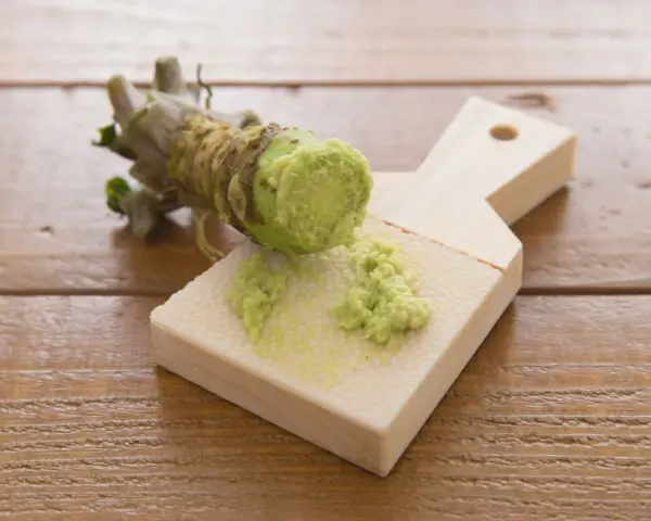 Świeży korzeń wasabi jest tarty na drewnianej tarce. Czy wasabi jest zdrowe? Tak, ma właściwości antybakteryjne i przeciwzapalne.