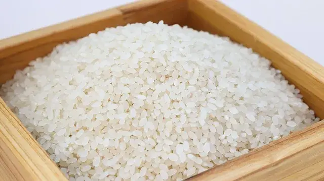 Ile zalewy do ryżu sushi – idealne proporcje i przepisy na smaki