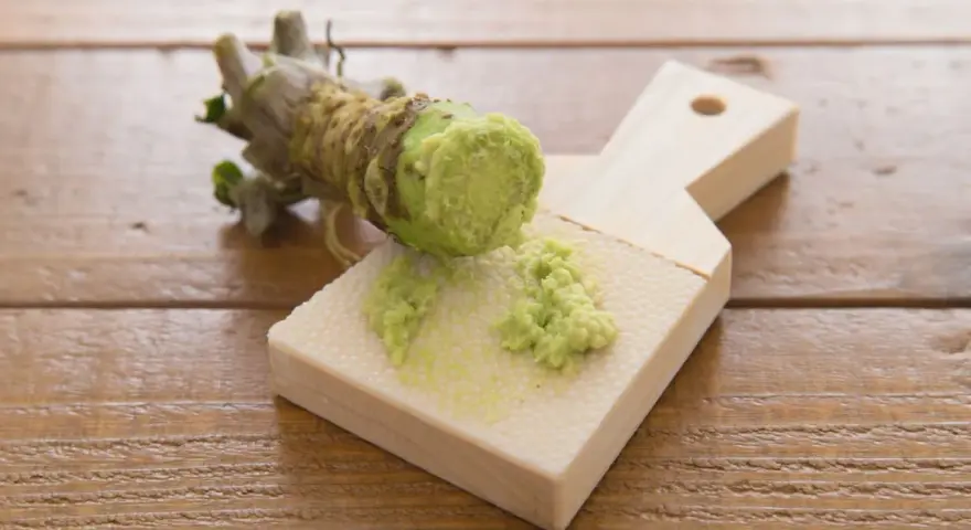 Świeży korzeń wasabi jest tarty na drewnianej tarce. Czy wasabi jest zdrowe? Tak, ma właściwości antybakteryjne i przeciwzapalne.
