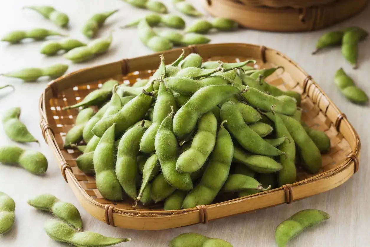 Świeże strąki fasolki edamame w wiklinowym koszyku, idealne do prostego przepisu.