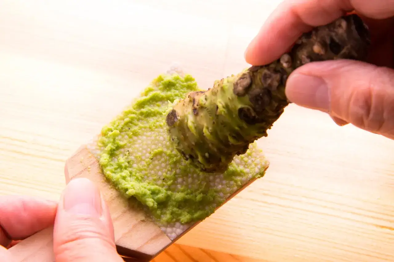 Świeżo starty korzeń wasabi na drewnianej tarce. Czy wasabi jest zdrowe? Tak, zawiera związki o właściwościach antybakteryjnych.