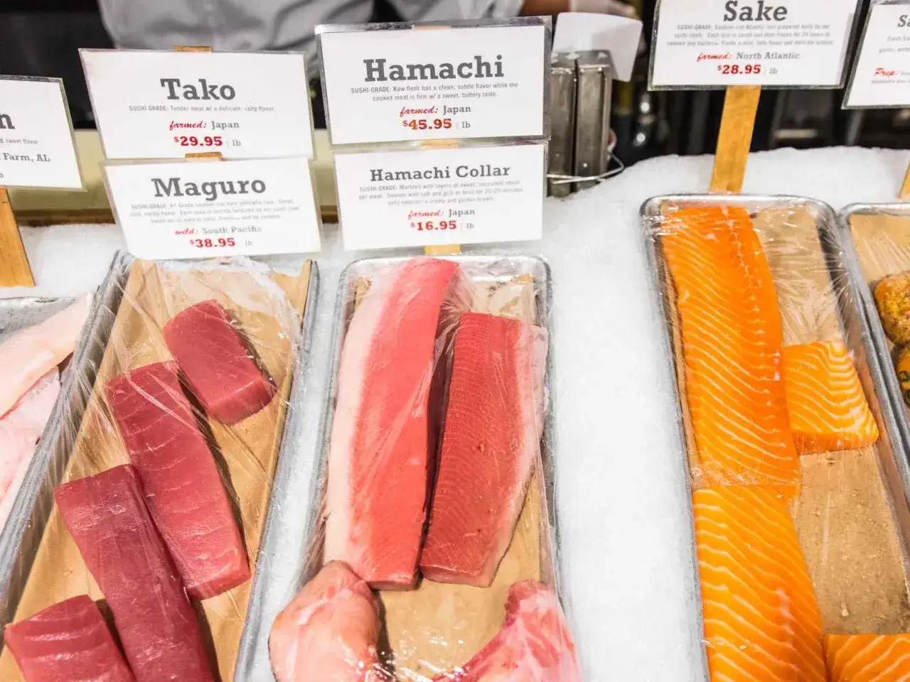 Wybór jaka ryba do sushi: świeży maguro, hamachi i łosoś na lodzie.