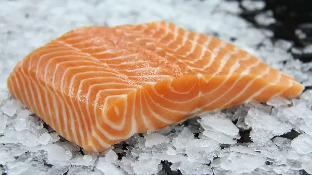Świeży kawałek łososia na lodzie, idealny, by dowiedzieć się, gdzie kupić surowego łososia do sushi.