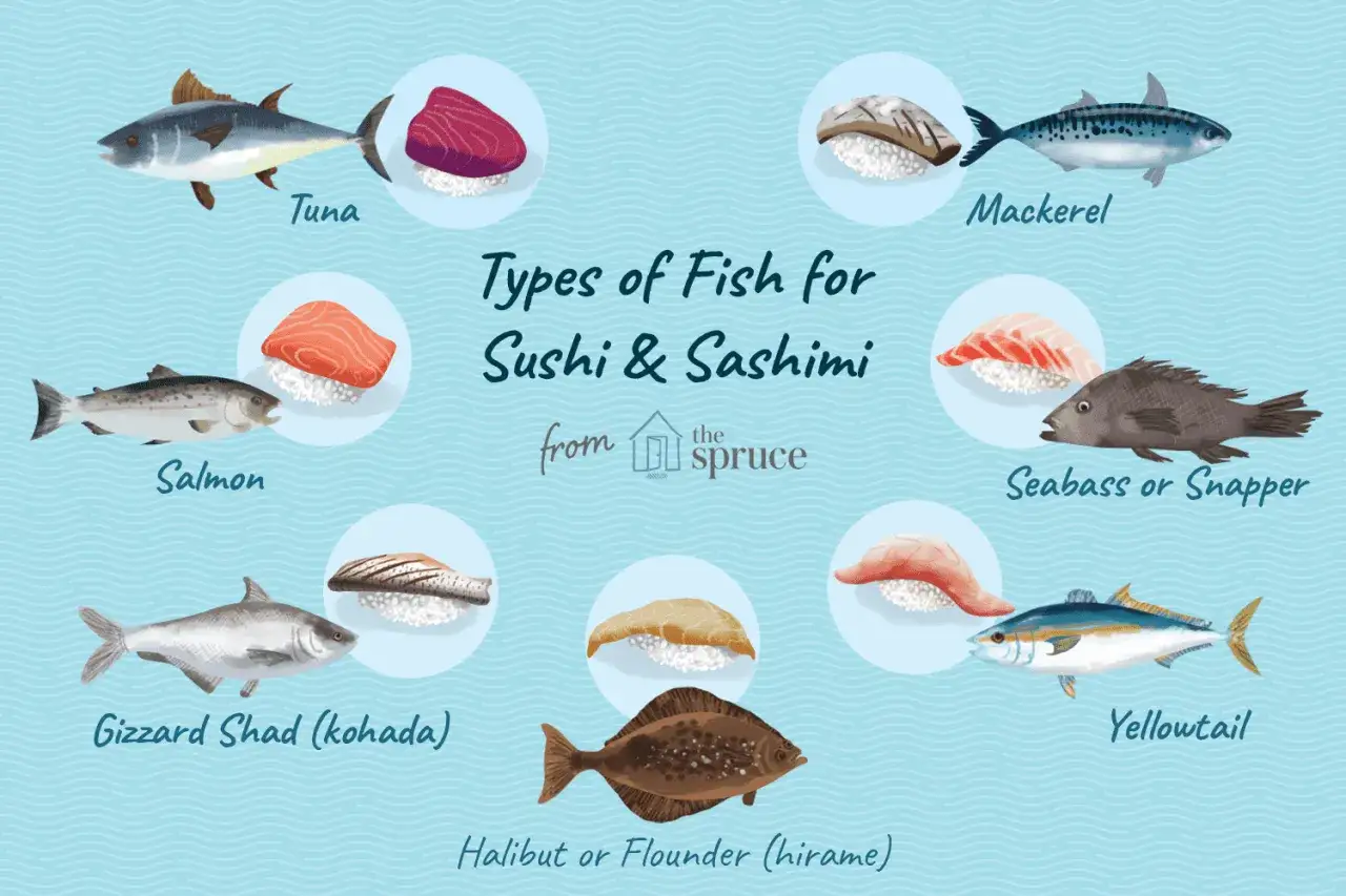 Różne rodzaje ryb do sushi: tuńczyk, łosoś, makrela, labraks, gizzard shad, halibut i yellowtail. Wybierz najlepszą rybę do sushi!