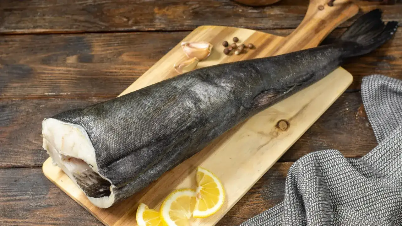Surowy, ciemny dorsz czarny leży na desce, obok cytryny i czosnku. Czy to zdrowy wybór na obiad?